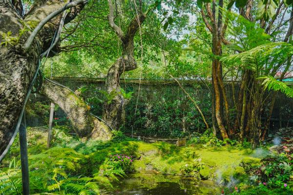 Chom Cafe and Restaurant