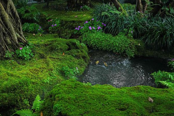 Chom Cafe and Restaurant